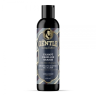 Mr.Gentle Gentle Shampoo Oily Hair meeste šampoon rasustele juustele 400ml