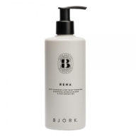 Björk Šampoon kõõmavastane 300ml