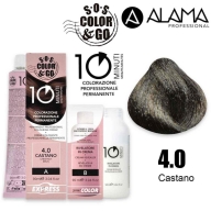 Alama Color & Go Juuksevärv 4.0 chestnut