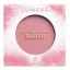 93764-6412600854824_lumene_natural_glow_posepuna_2_berry_glow_4g.jpg