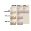 97203-wella_professionals_color_fresh_mask_tooniv_juuksemask_lilac_frost-1_v1.jpeg