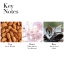 98265-2104-green-tea-sakura-blossom-7-notes_8cb52737-4afe-41fc-a6ba-0f9fc7bc7bfd.jpg